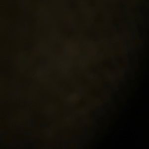 Meet your Posher, Bella